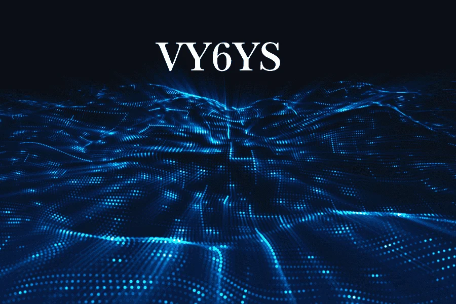 Vy6ys: You Need to Know