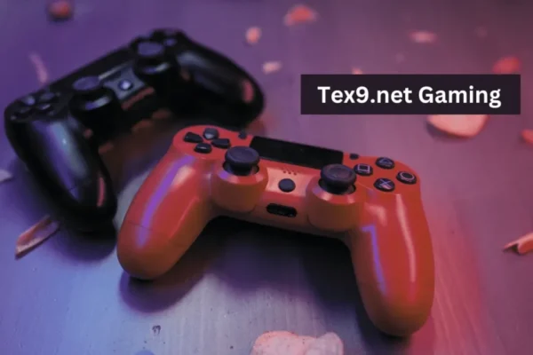 Tex9.net PlayStation: A Misconception in the Digital Realm