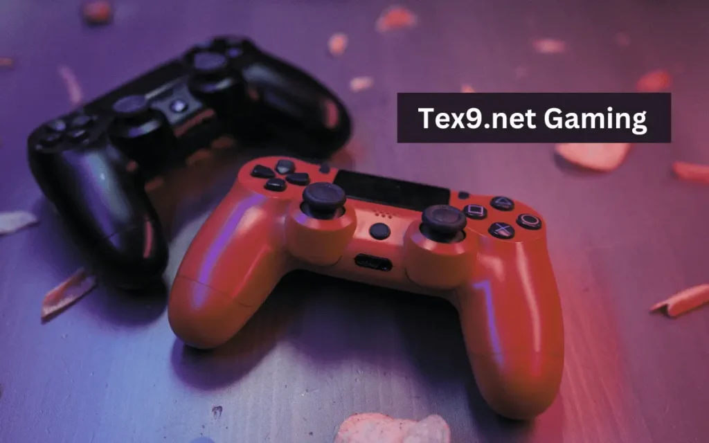 Tex9.net PlayStation: A Misconception in the Digital Realm