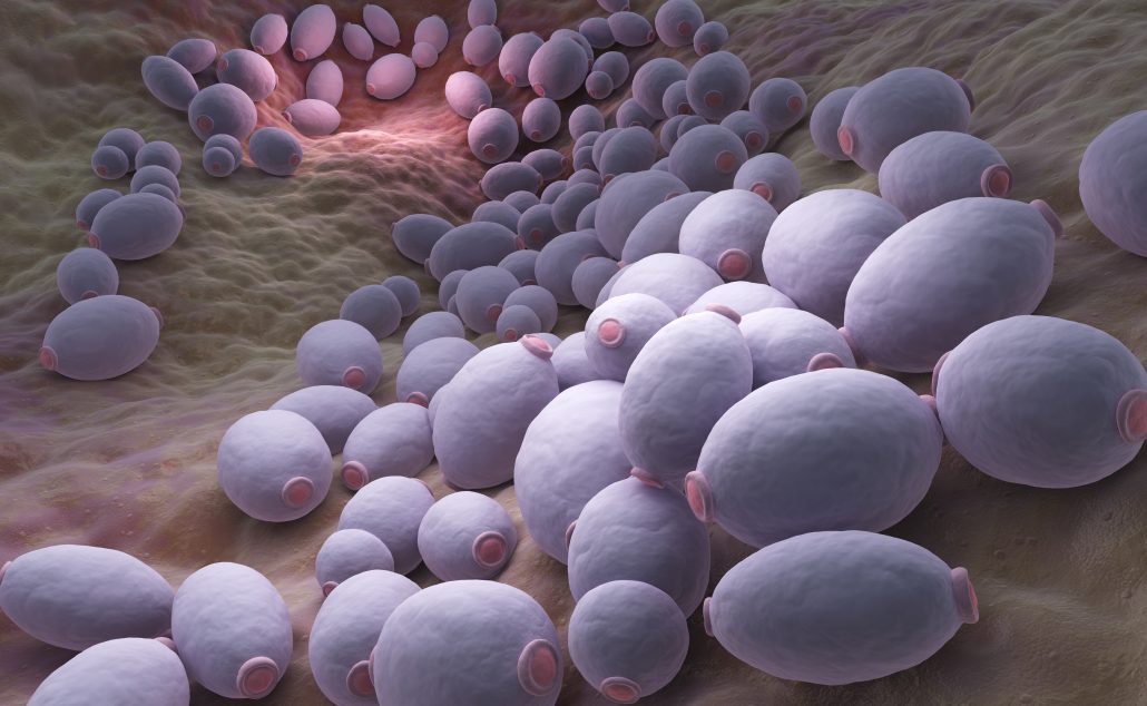 Understanding Candida: A Deep Dive into the World of Yeast and Human Health