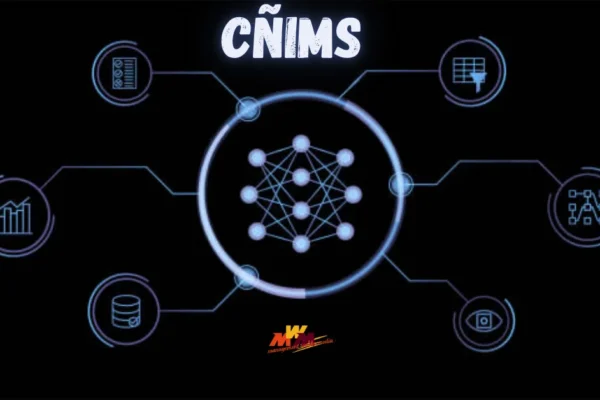 CÑIMS: Understanding the Concept, Philosophy, and Potential of a New Framework