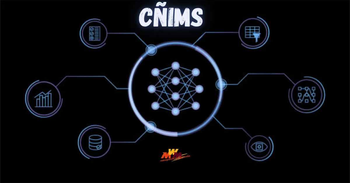 CÑIMS: Understanding the Concept, Philosophy, and Potential of a New Framework