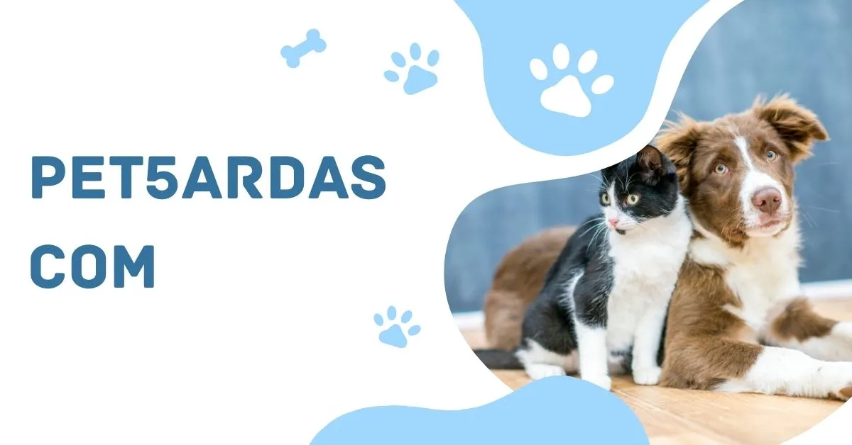 Pet5ardas.com: Exploring the Digital Frontier of Creativity and Innovation