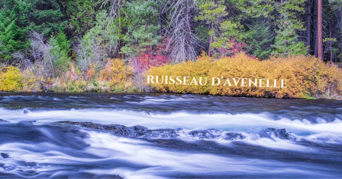Ruisseau d’Avenelle: The Hidden Gem of Natural Serenity