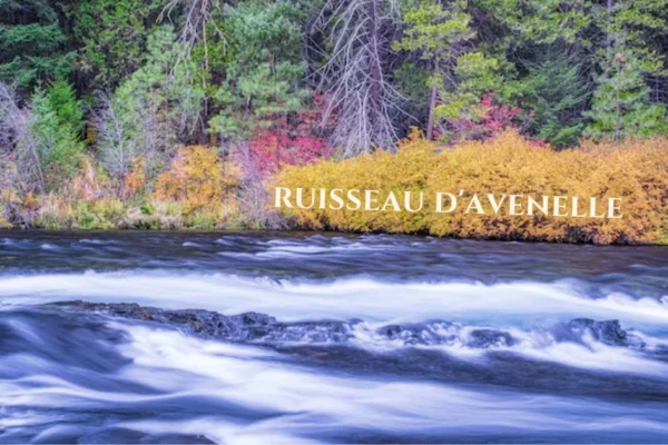 What is Ruisseau d’Avène?