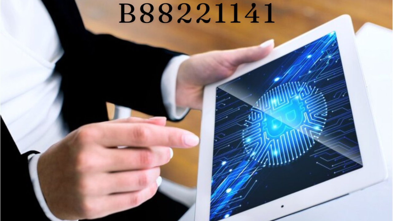 Understanding B88221141: Meaning, Contexts, and Possible Uses