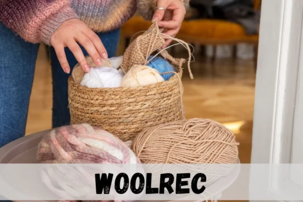 Woolrec: Understanding the Concept, Applications, and Growing Digital Interest