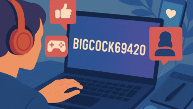 Bigcokc69420: Internet Usernames, Meme Culture, and Digital Identity