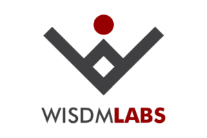 WisdmLabs: What You Need To Know