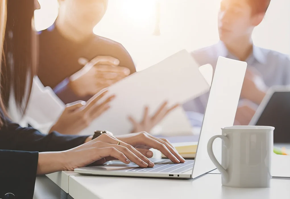 Adiltqork: All Information About